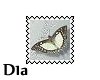 D1a Butterfly Stamp 1