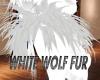 WHITE WOLF FUR