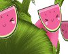 [AG] Watermelon Delusion