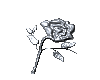 animated silver rose