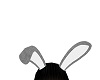Light Grey animated ears