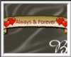 *00*Always & Forever