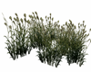 Add animated tall grass