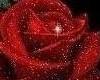 Red Rose Sparkles