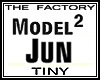 TF Model Jun 2 Tiny