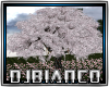 Sakura tree DJ LIGHT