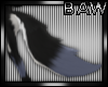 B! Baron Tail 2