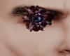 Stefano ♥ Eye