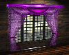 Drapes Purple Passion