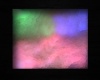 Rug Neon