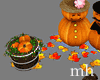 Pumpkin Love Display
