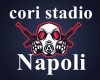 Cori Stadio Napoli