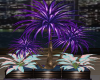 HBDayPlant1Amor2025