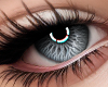 !B Icon Eyes GRY