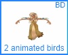 [BD] 2 Animated Birds