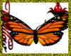 WF>Butterfly/Monarch