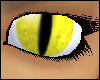 Yellow cat eyes
