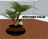 [bamz]Western palm