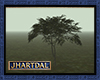 JL Rhaiveler Tree 2
