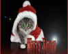 Christmas Rug Set