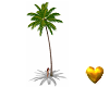 Animated Palm tree