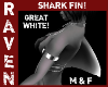 GREAT WHITE SHARK FIN!