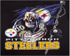 Steelers Plasma TV