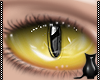 [CS] Stregatta Eyes