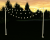 :: CAMP LIGHTS ::