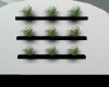 ~C~ Wall Plants