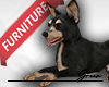🐕 Dog Toy Terrier