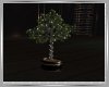Novo Tree