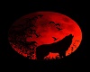 CrimsonWolf Wolf