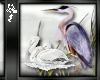 D3~Snow/ Proud Stork Enh