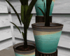 -IC- Small Palm Plants
