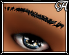 !A! Black Brows Detailed