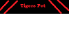 Tigers Pet collar