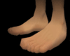 Normal Feet Any Skin F