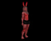 (B)RedVal Bunny(M)/SP