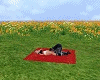 romantic kissing rug