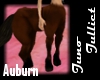 Auburn Goddess Centaur