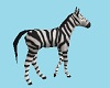 Ck Safari Room Zebra
