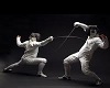 Animated FENCING