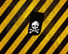 Skull iphone