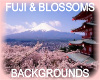 xGx Fuji & Blossoms BG