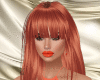 RL Orange Bundle
