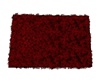 RUG RED