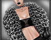 [CS] Eyes of Panther Fur