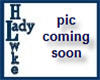 [LH]Ladyhawke Avi Pic