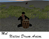 Native Drum Anim Pose